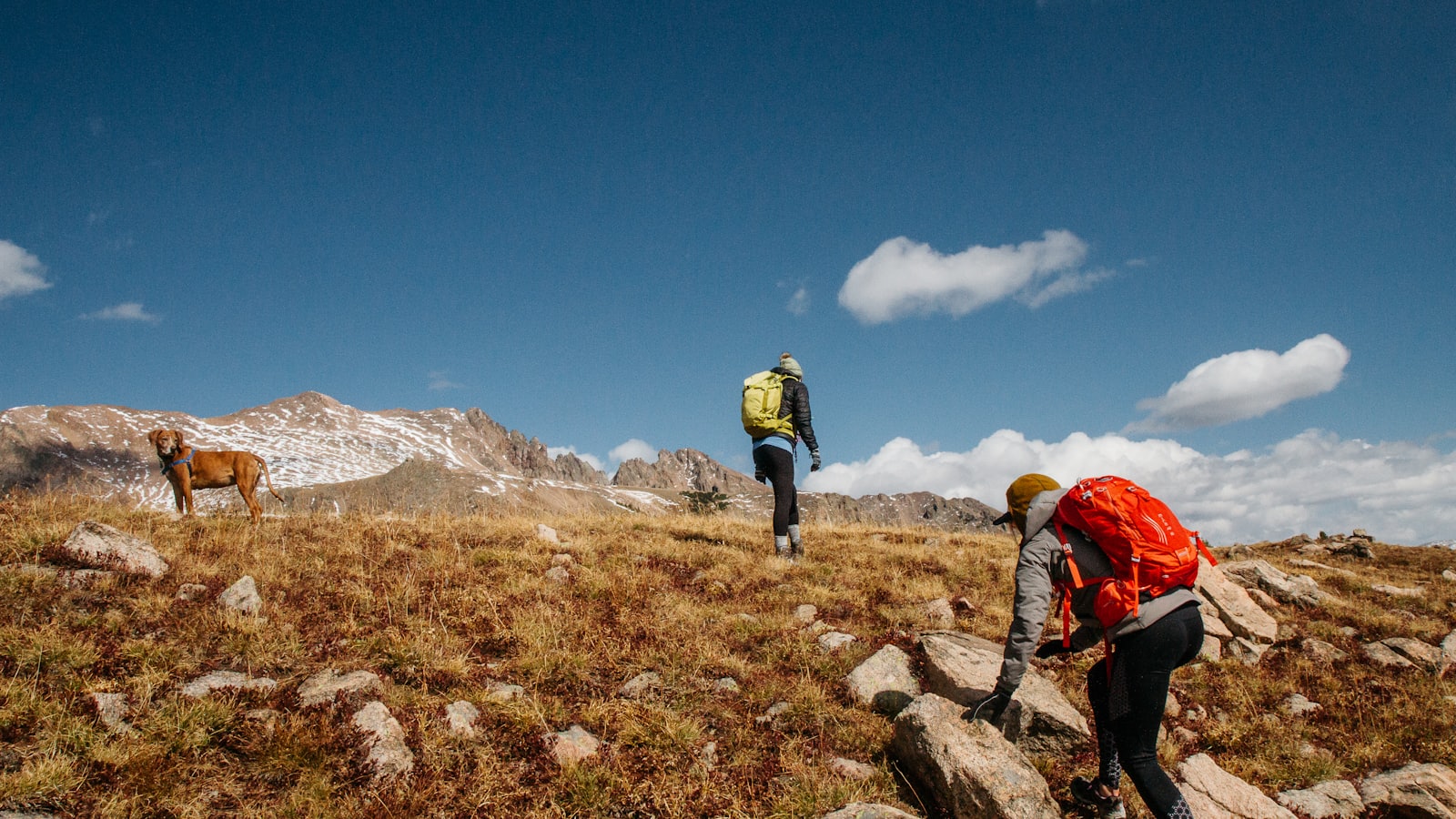 two people and brown dog hiking on mountain under blue sky during daytime