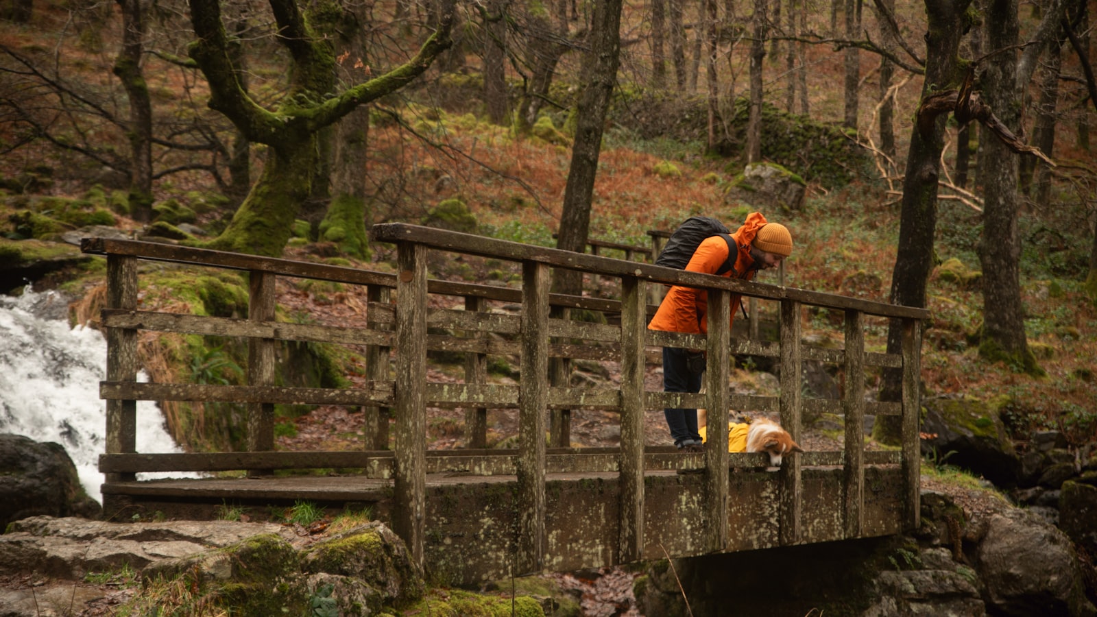 a person standing on a bridge over a stream