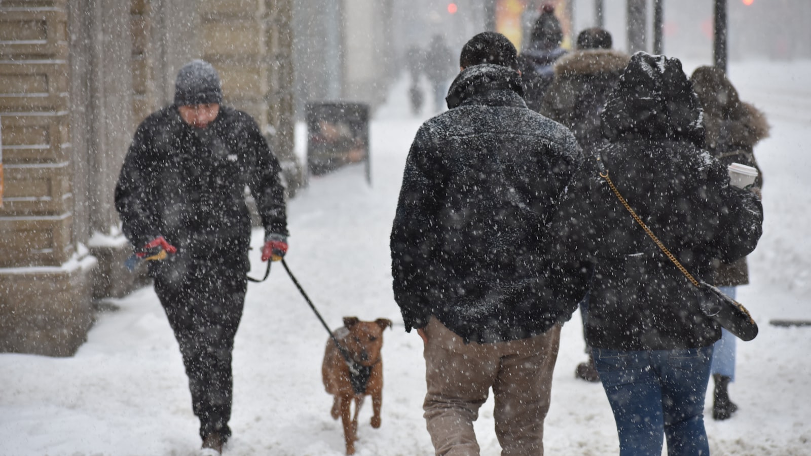 man in black jacket and brown pants holding black dog leash