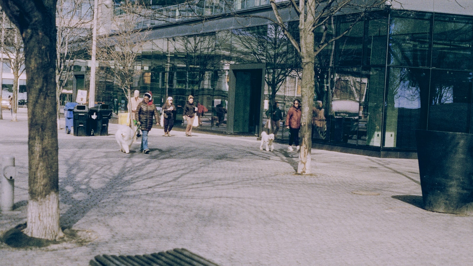 People walking in an urban park with trees and buildings.
