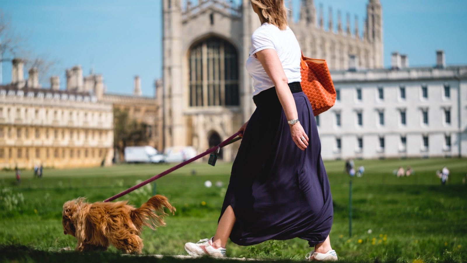 a woman walking a dog in a park