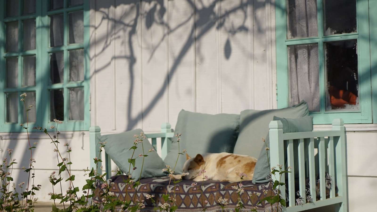 A dog naps on a porch bench in sunlight.