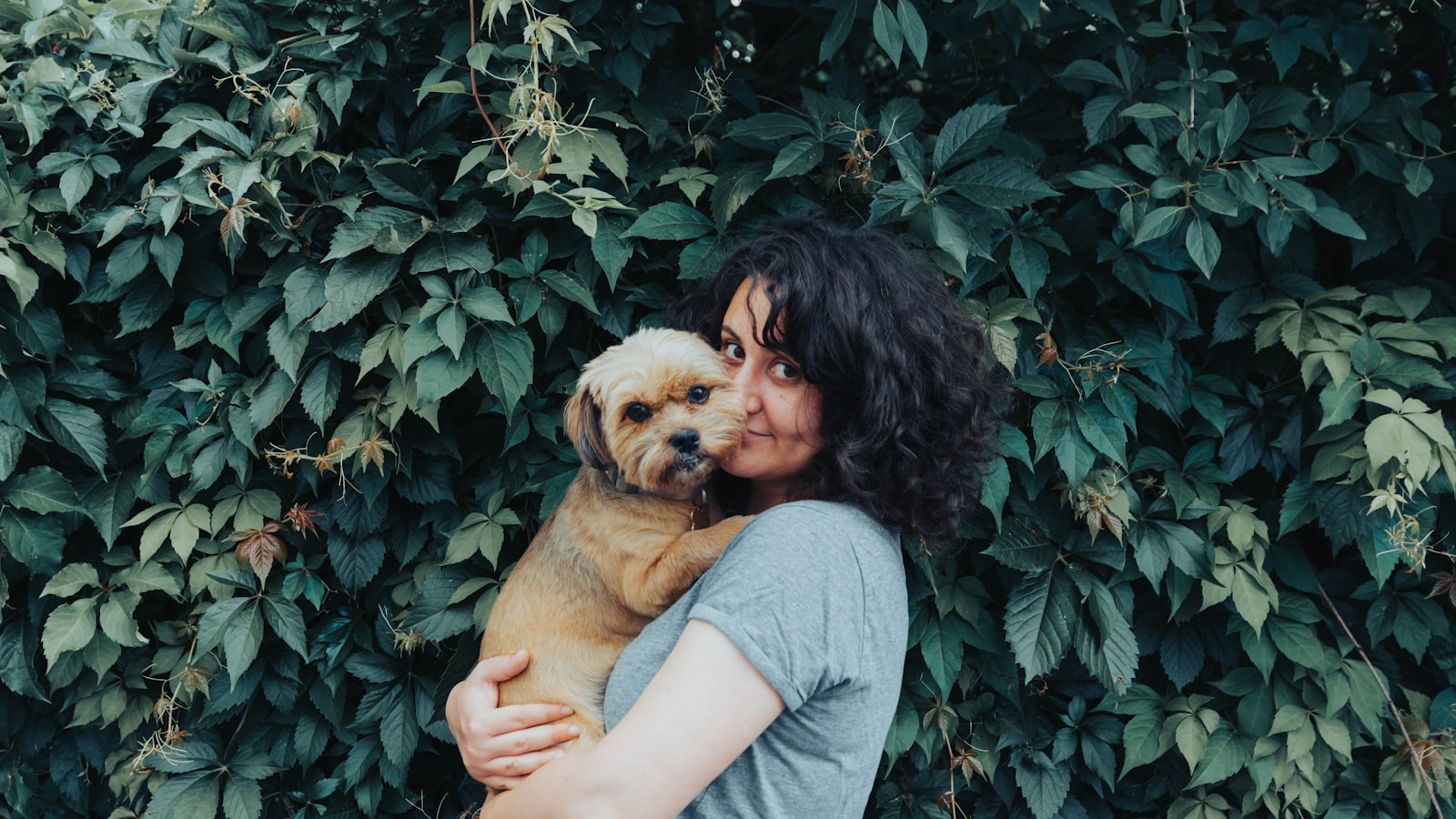 woman in gray t-shirt holding brown short coated dog