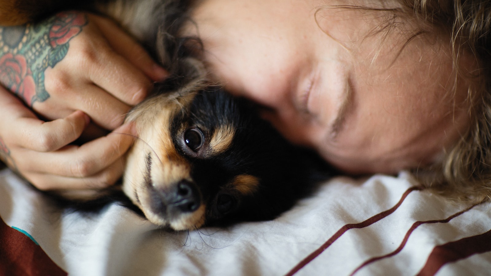 a woman laying in bed with a small dog