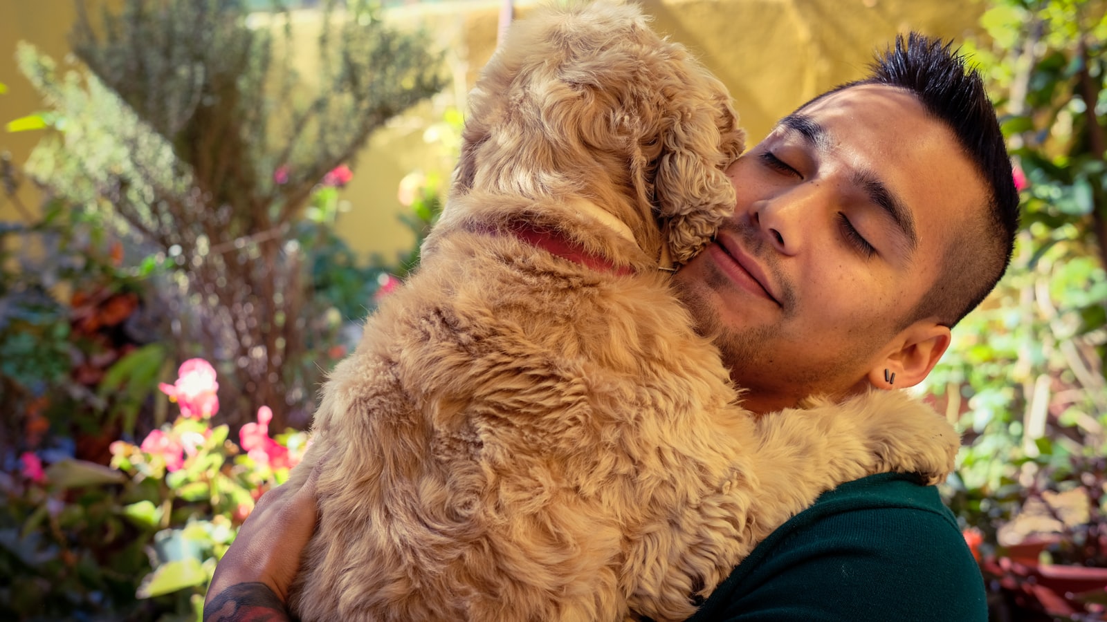 a man holding a dog in his arms