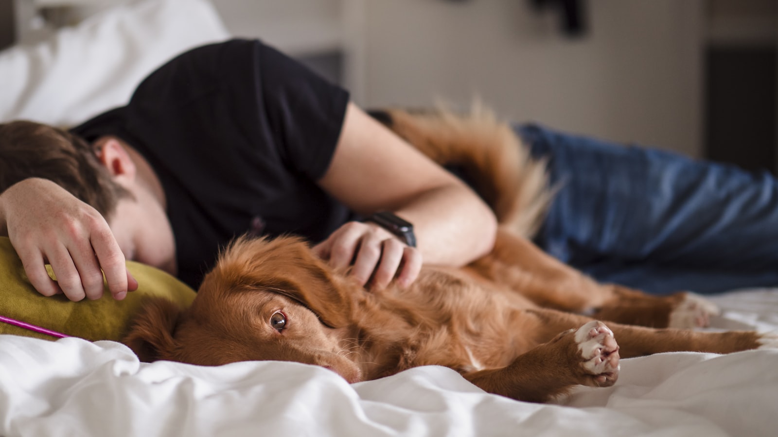 person in black shirt lying on bed