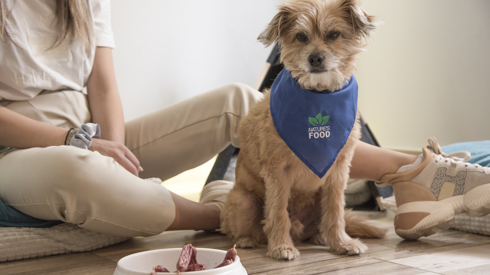a dog sitting on the floor with a bandana around its neck
