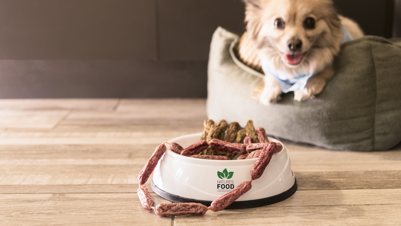 a dog sitting in a dog bed with a bowl of food