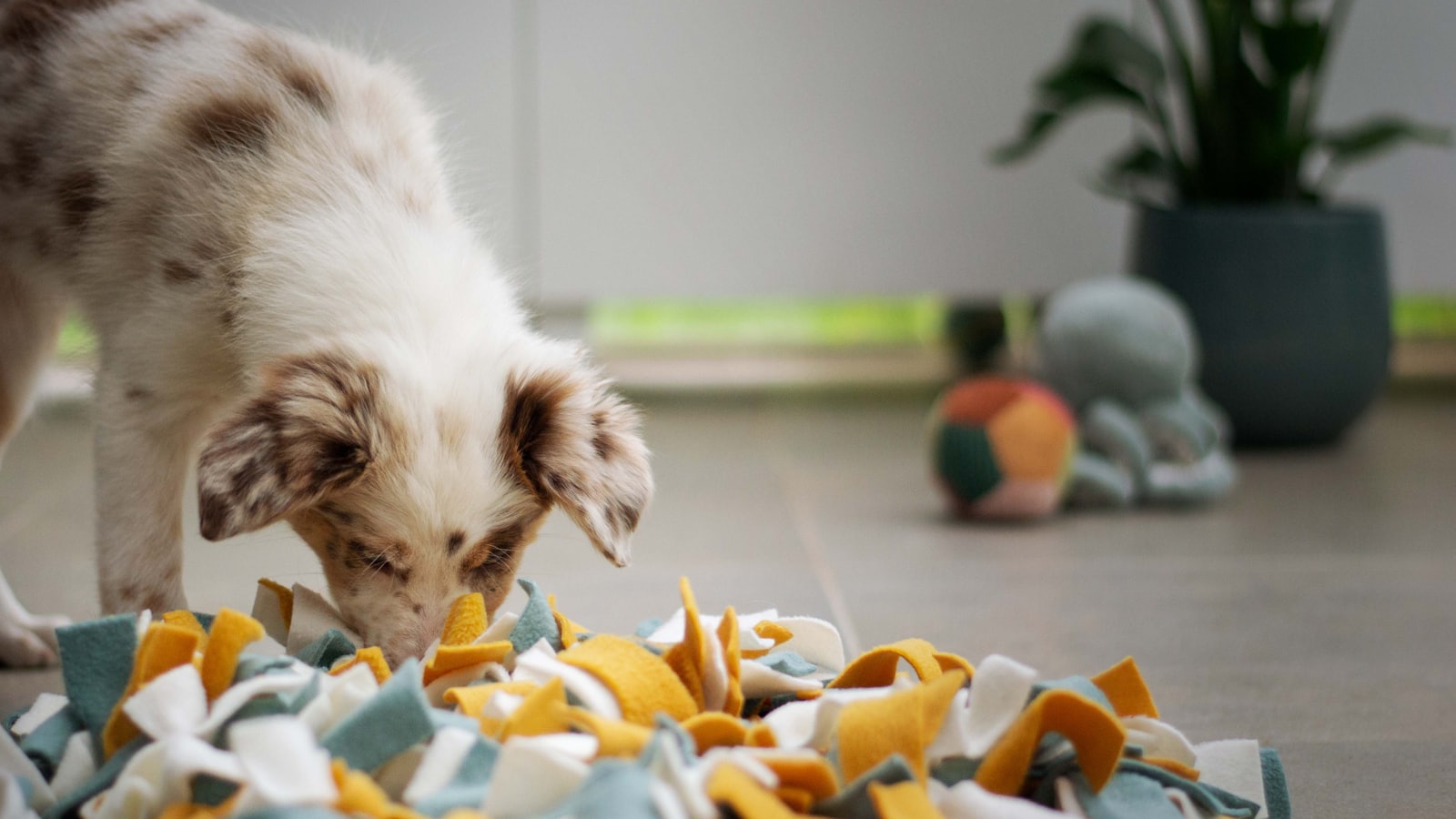 a puppy playing with a pile of shredded paper