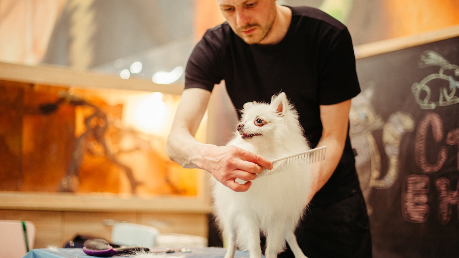 man brushing dog hair