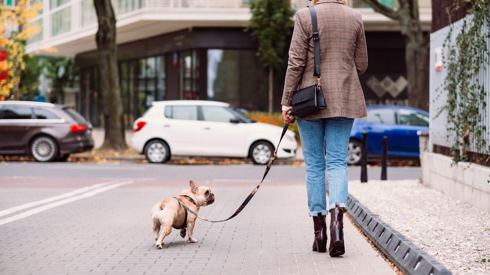 a woman walking a small dog on a leash