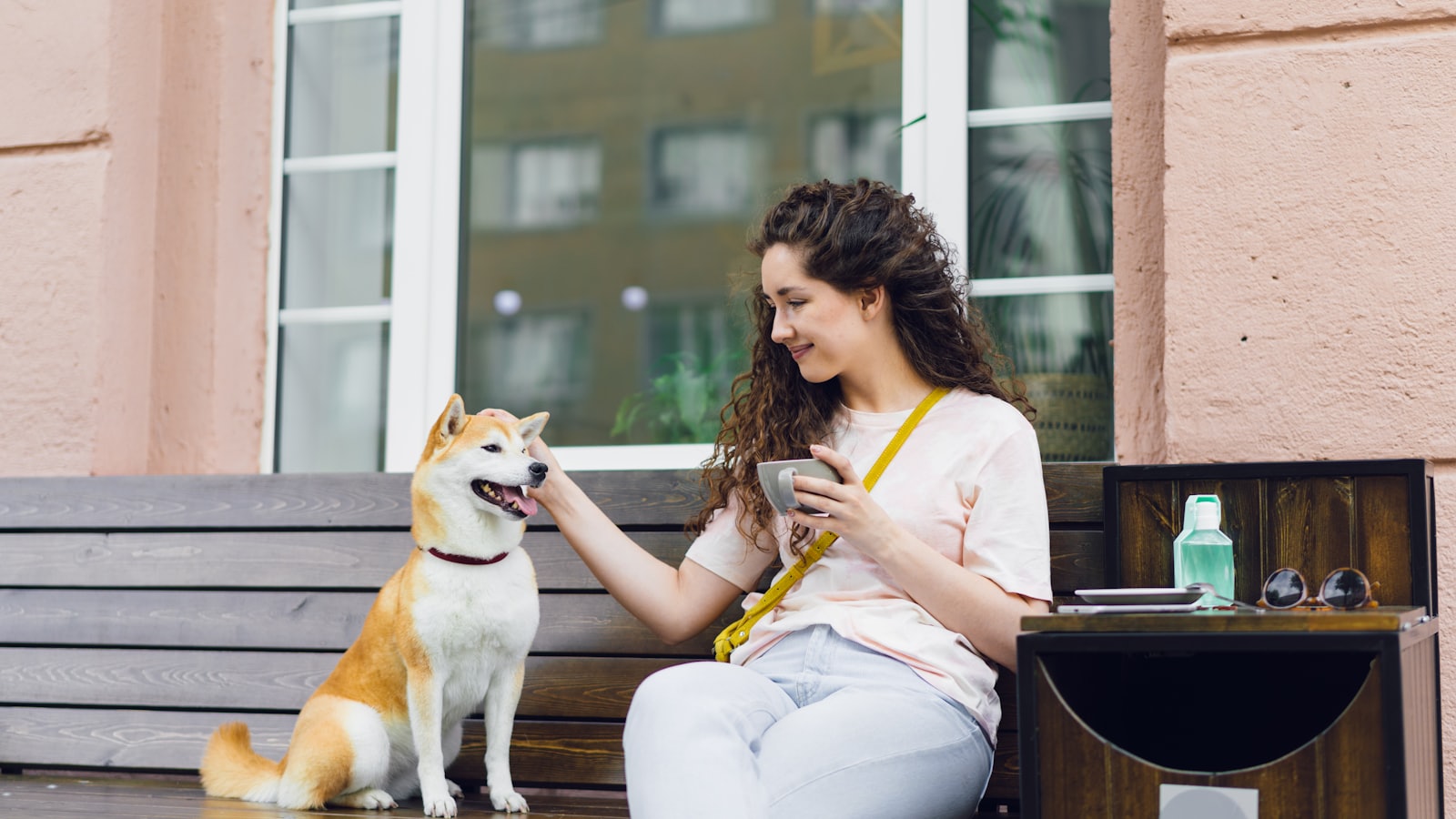 a woman sitting on a bench petting a dog