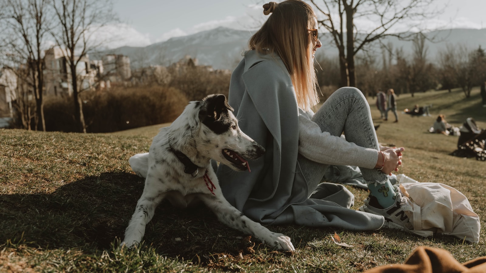 Woman and dog relaxing in a grassy park