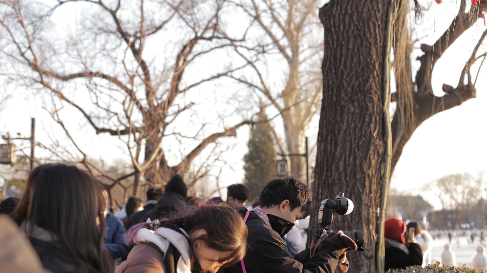 People gathered outdoors near bare trees