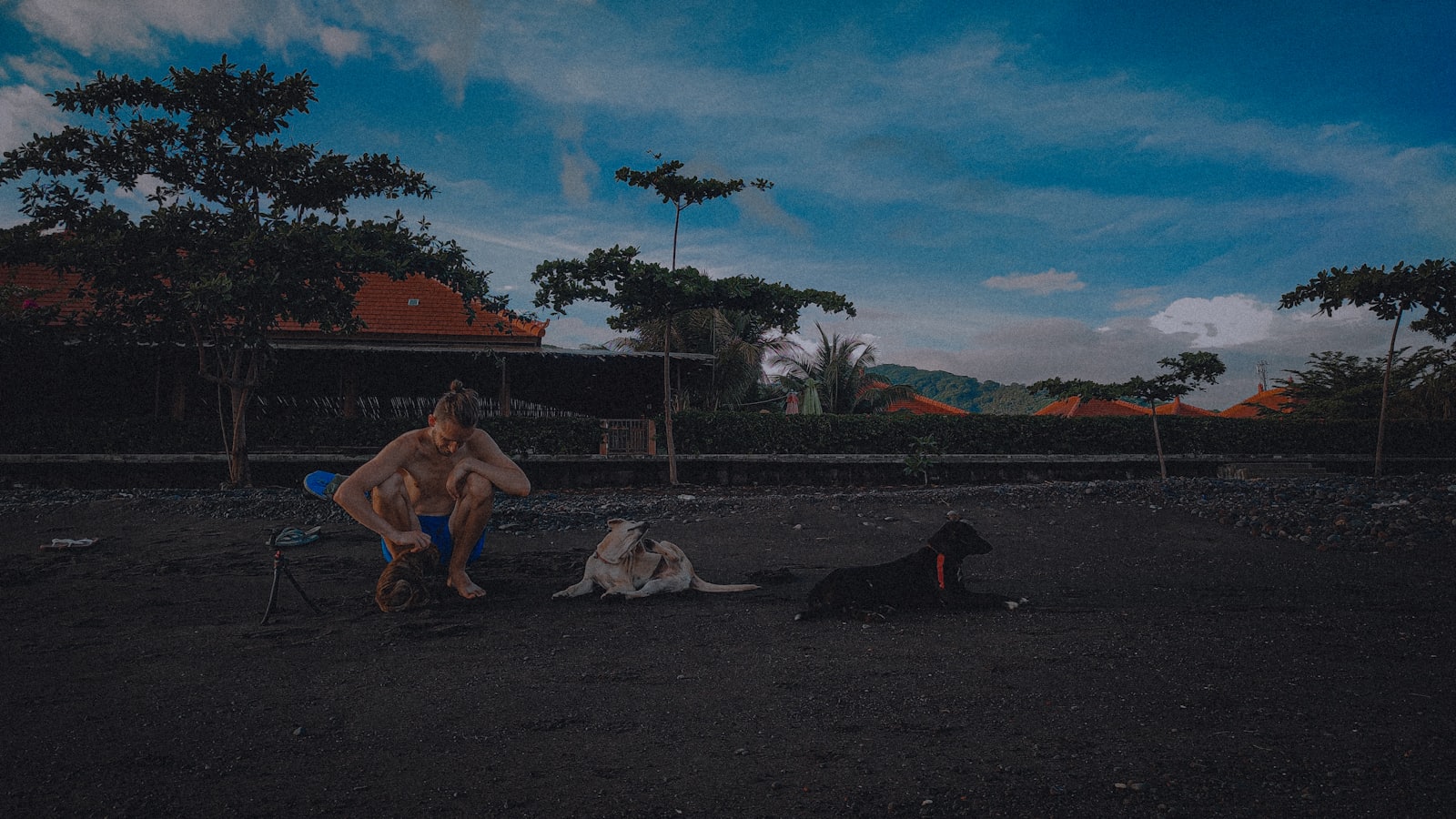 Man with two dogs on a beach at dusk.