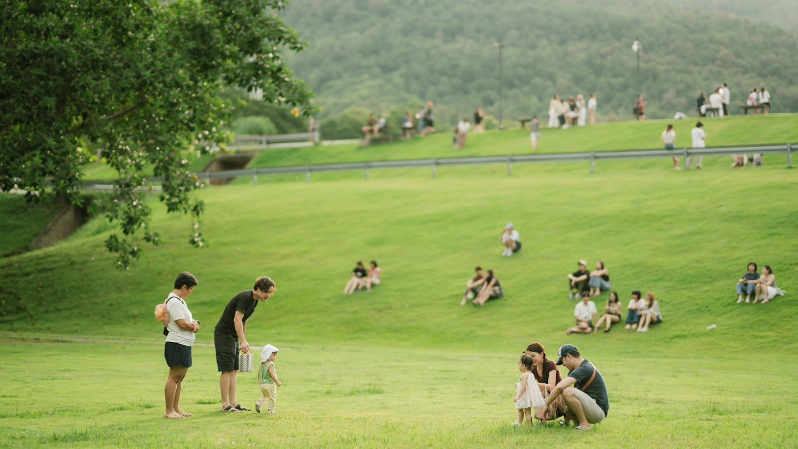 People enjoying a sunny day in a grassy park.