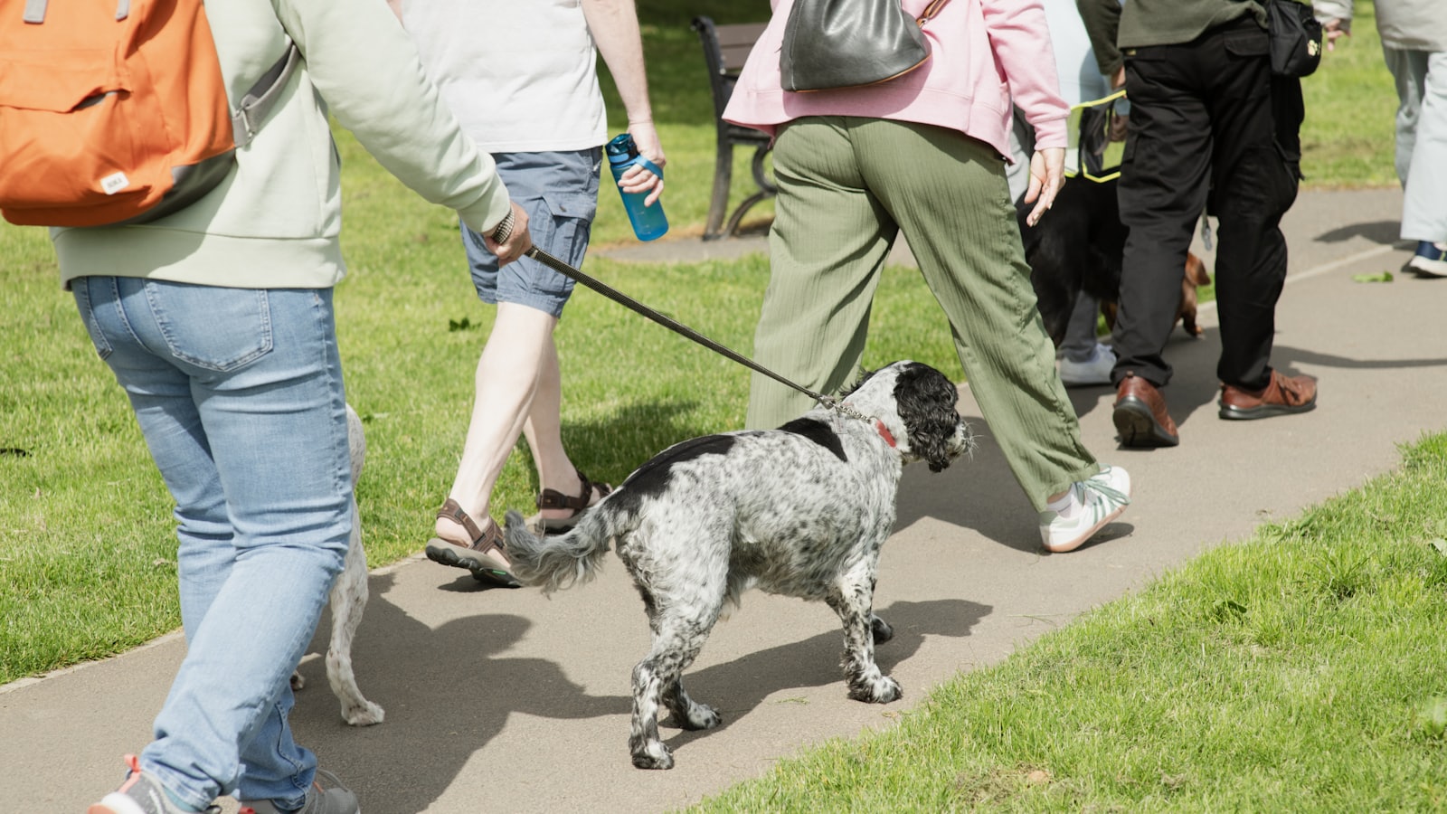People and a dog walking on a paved path.