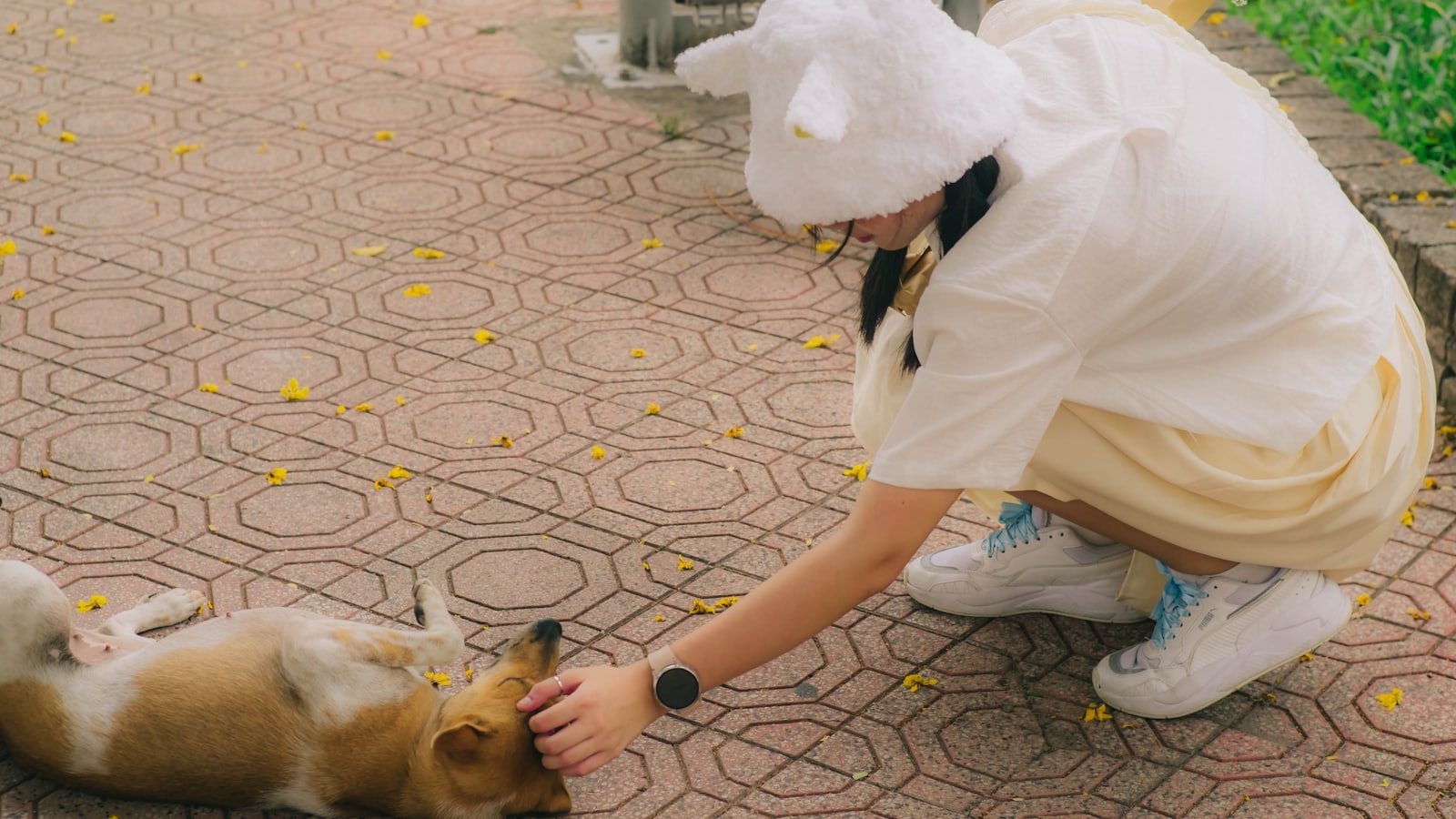 a person kneeling down petting a small dog