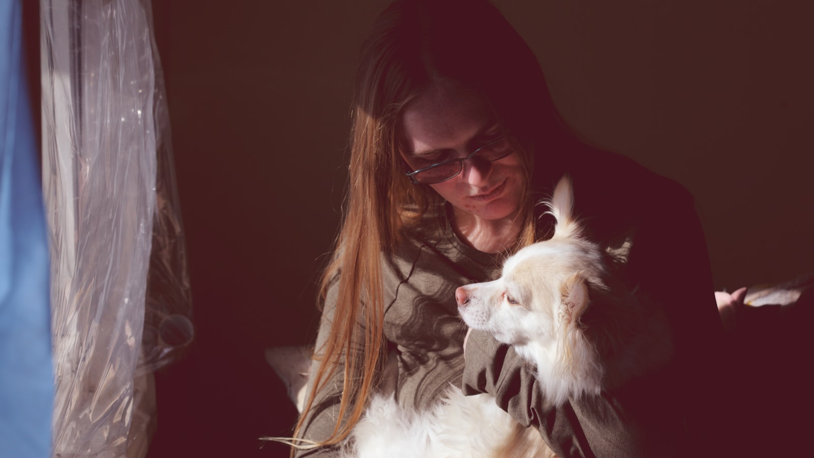 woman in black framed eyeglasses kissing white short coated dog