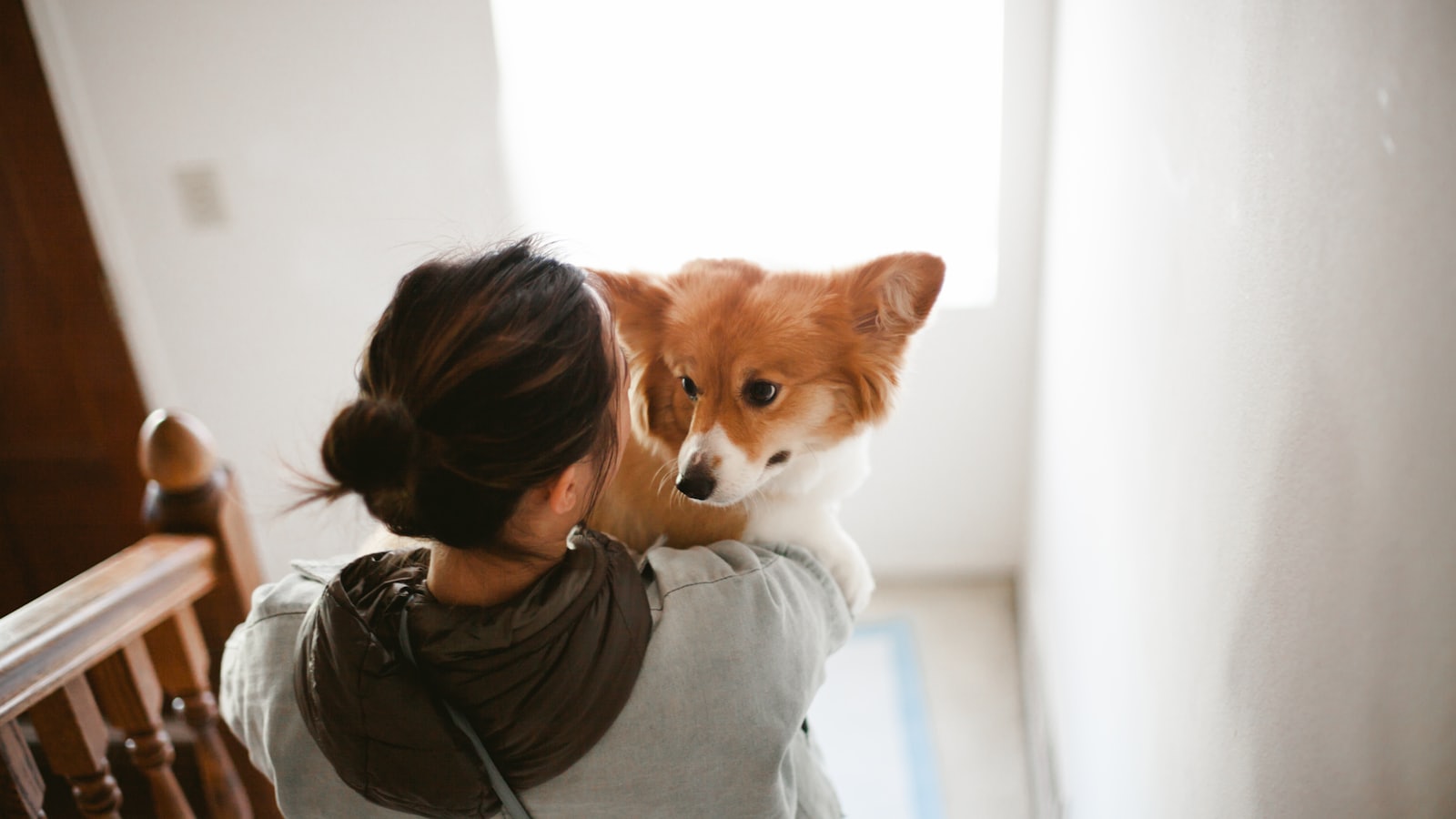 woman in gray hoodie kissing brown and white dog