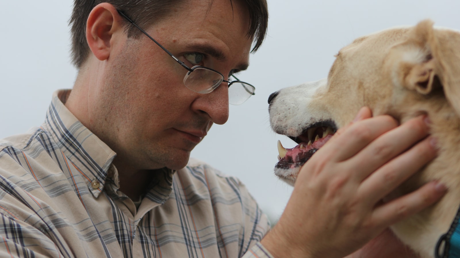 a man petting a dog with his mouth open